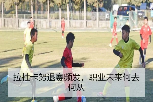 拉杜卡努退赛频发，职业未来何去何从